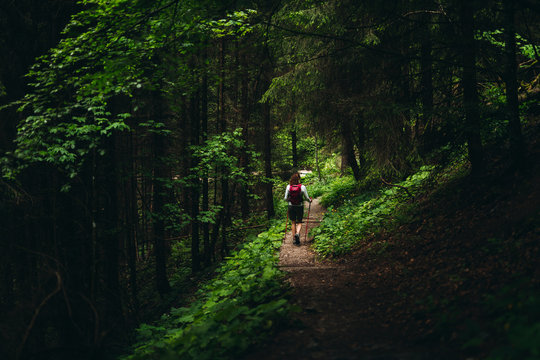 Wanderer in forest
