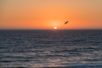Fototapeta na wymiar Una bonita puesta de sol, un día despejado, en la costa Atlántica, en Portugal