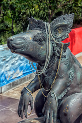 statue of rat or mushika vahana or Hindu God Ganeshas Mount as in mythology