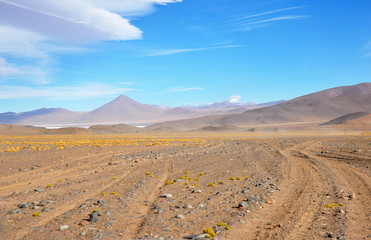 Fototapeta na wymiar travelling through the andean mountains in bolivia, peru and chile to geysers, lagunas, la paz, city,