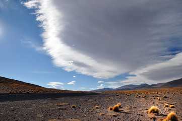 travelling through the andean mountains in bolivia, peru and chile to geysers, lagunas, la paz,...