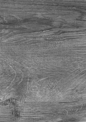 Old Wood texture,Bark texture for the background or text, Black and white style. Wood surface background in shades of grey