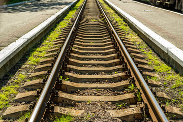 Fototapeta premium semaphore and rails at the railway station