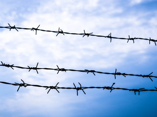 Fototapeta na wymiar Barbed wire on blue sky background. Concept with copy space for restricted area, imprisonment, freedom