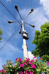 street lights with flowers on a sunny summer day