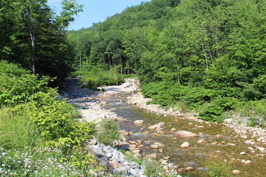 Deerfield River near Searsburg, Vermont at the Green Mountain National Forest