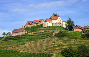 View of Staufenberg Castle in the middle of vineyards near.the village Durbach_Ortenau, Baden Wuerttemberg, Germany