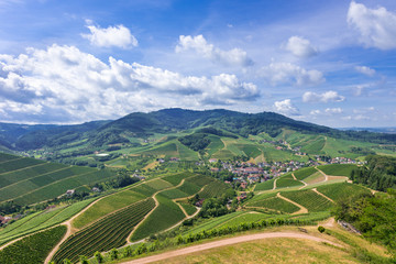 View from Staufenberg Castle to the Black Forest with grapevines near the village of Durbach in the...