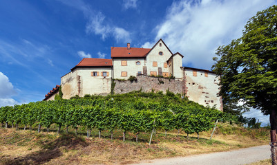 Fototapeta na wymiar View of the castle Staufenberg with grapevines near.the village Durbach_Ortenau, Baden Wuerttemberg, Germany
