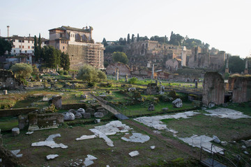 View of the roman ruins in a sunny day in Rome, Italy.