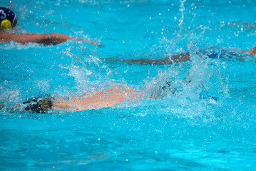 Athletes swimming freestyle on a swimming pool