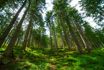 San Giovanni in Valle Aurina, Sankt Johann in Ahrntal, South Tirol, Alto Adige, Italy, Europe, Country of Birth of Josef Georg and Johann Baptist Oberkofler