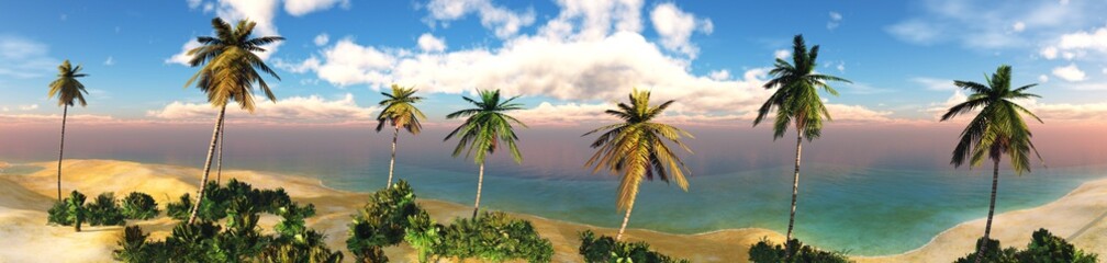 Fototapeta na wymiar Panorama of the beach with palm trees at sunset, seashore at sunrise