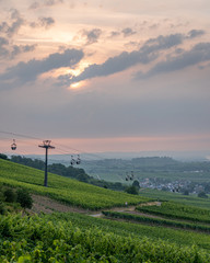 Fototapeta na wymiar German vineyards in Rudesheim am Rhein
