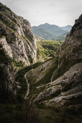 Fototapeta na wymiar Landscape view of a valley in Asturias, Spain during summer. 