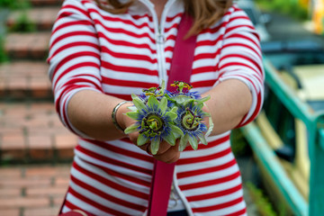 a woman with passiflora flower in the hand