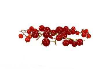 red currant isolated on white background