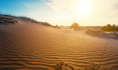 beautiful hot summer sandy desert scene at the sunset