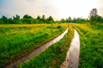 wet ground road among a green fields at the early morning