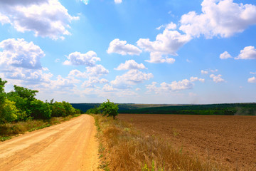 Fototapeta na wymiar Summer landscape. Country road going to the horizon