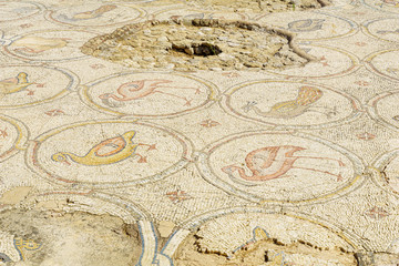 Birds Mosaic figures, Byzantine palace mosaic floor in Caesarea