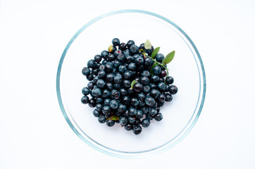  close-up of blueberries with leaves in a plate on a white background