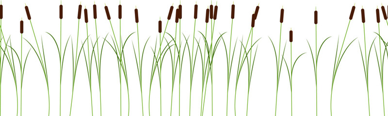 Thin reed stalks plant seamless pattern on white background - obrazy, fototapety, plakaty