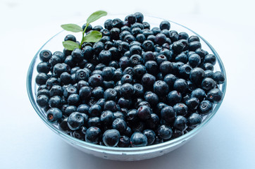  close-up of blueberries with leaves in a plate on a white background