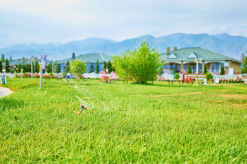 Obraz na płótnie Canvas Green field with sprinkler.