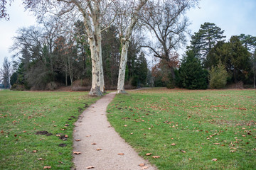 View of Garden Kingdom.