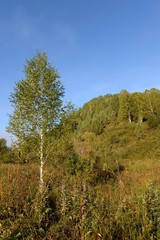    Early morning in the mountains of Altai Krai. Western Siberia 