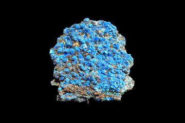 Photo of Lavendulan isolated on black background