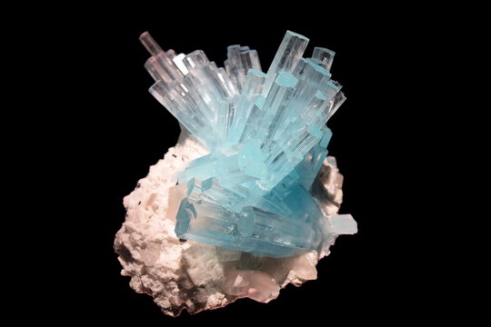 Photo of Beryl