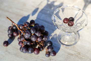 Dark blue grape on white background.Full depth of field