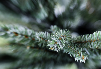 Naklejka na ściany i meble Traditional artificial Christmas tree in close up view