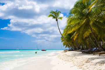 Obraz na płótnie Canvas Tropical beach in Caribbean sea, Saona island, Dominican Republic