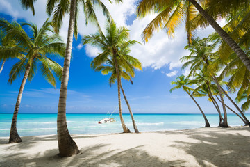 Tropical beach in Caribbean sea, Saona island, Dominican Republic