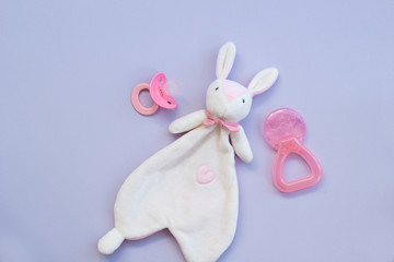 the pink baby pacifier, teether and rabbit toy