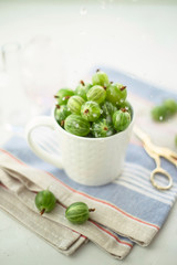 Green gooseberry in water drops in a white cup on a bright towel by the window - rustic summer harvest