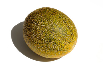 yellow melon isolated on white background
