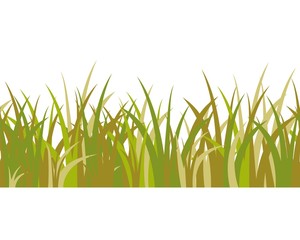 Green and red-yellow grass stalks, savanna style and seamless pattern isolated on white background. Vector illustration for cartoon landscape