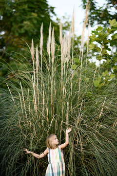 Blond little girl standing in front of Pampas grass