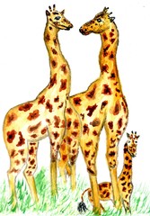 Cute giraffe art