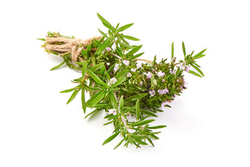 Fresh thyme sprigs, spice, close-up, isolated on white background