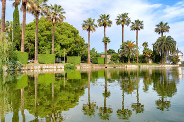 tropical park landscape with green forest palm tree small orthodox church reflection in river water against blue sky and cloud background wide view of city recreation zone in summer