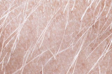 Hair with skin on a human hand close-up, macro shot