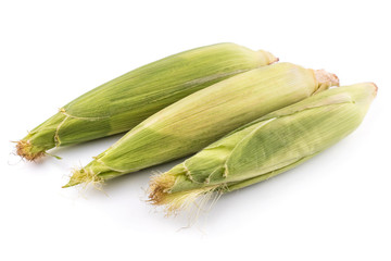 corn isolated vegetarian yellow green food 