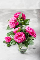 Amazing wild pink roses