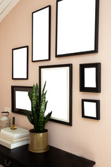 collection of various blank black frames on wall with modern decoration, green plant in a lovely home