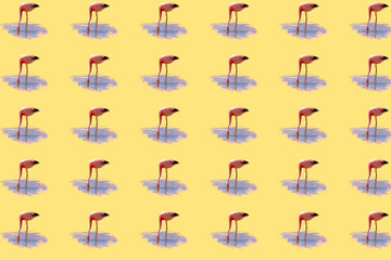 Pattern with a photo of an isolated adult pink flamingo on a trendy yellow summer background. Flamingo animal exotic, nature of wild fauna